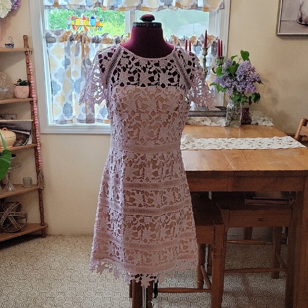 Eliza J Pink Flutter Sleeve A-Line Dress. C